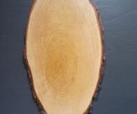 Geweihschild Hirsch, Birke grob