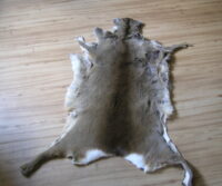 Rehfell, Rehdecke Schweizer Jagd