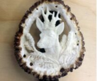 Hemdkordel mit Rehbockmotiv aus echtem Hirschhorn