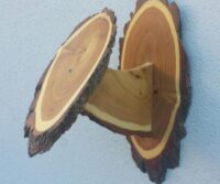 Mufflon-Schild in Akazie