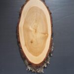 Hirschschild Lärche