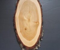 Hirschschild Lärche