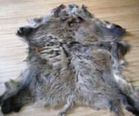 Wildschweinfell, Wildschweindecke