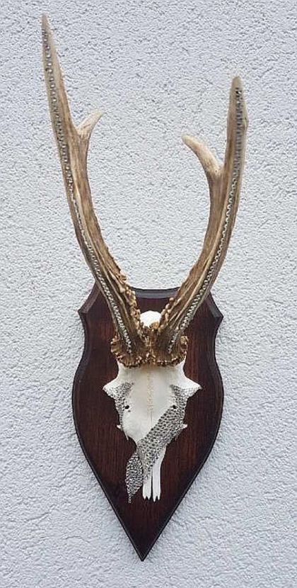 Rehbock