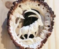 Hemdkordel mit Steinbock-Motiv aus echtem Hirschhorn