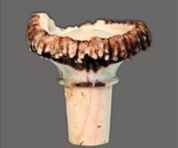 Flaschenverschluss "Hirschrose"