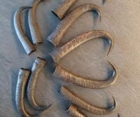 Bastelpackung Gamsschläuche 5 Paar