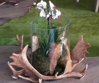 Windlicht mit Glas aus Damschaufeln
