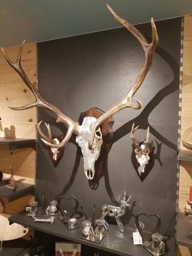 Trophäen